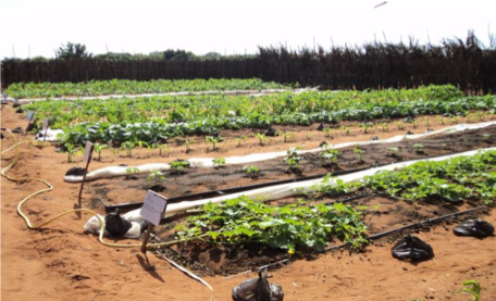 Producing, through mining, virtuous dynamics for the micro-communities